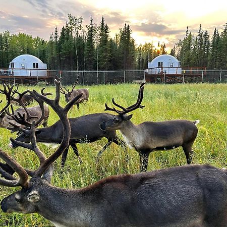 Villa Pleasant Acres Reindeer Ranch Pleasant Valley Exterior foto
