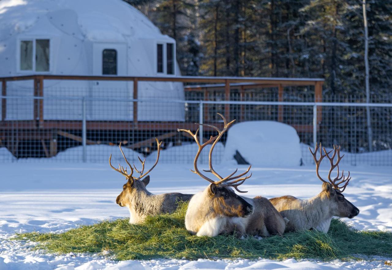 Villa Pleasant Acres Reindeer Ranch Pleasant Valley Exterior foto